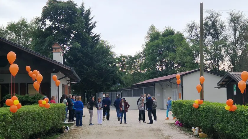 Una veduta del canile di Apaca addobbato a festa