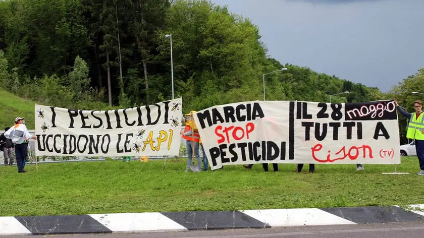 manifestazione di Liberi dai veleni