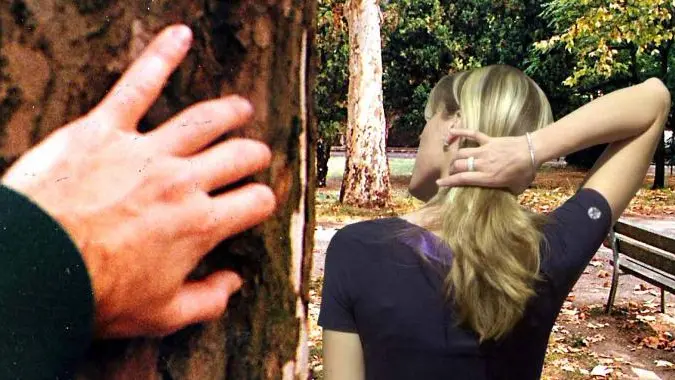 Le due versioni sono completamente discordanti