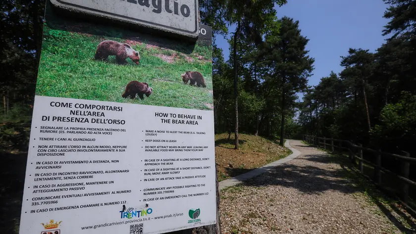 20/06/2023 Trento. Impatto sulla stagione turistica per la presenza dell'orso. Il sentiero Margherita in Val di Non