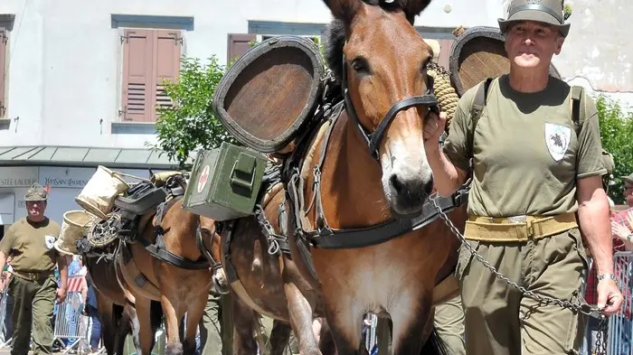 Tolmezzo 16 Giugno 2019 Adunata Alpini © Foto Petrussi