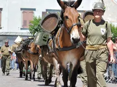 Tolmezzo 16 Giugno 2019 Adunata Alpini © Foto Petrussi