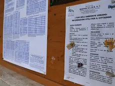 A taibon il cartello allarme topi in municipio
