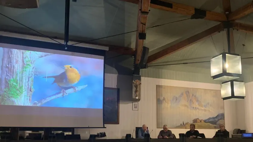 Sala gremita ad Auronzo per l’illustrazione del progetto Meister