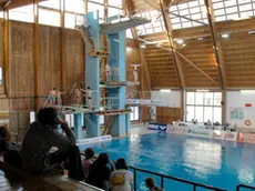 belluno, 11 febbraio 2006. alla piscina di lambioi la gara di tuffi