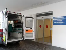 Barbieri Treviso Ospedale treviso ferit omicidio e tentato sucidio miane agenzia fotografica foto film