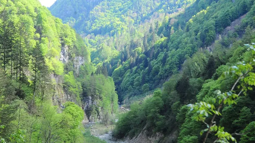 Una veduta dell’area dove dovrebbe essere realizzata la diga del Vanoi