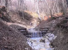 L’intervento sul rio San Liberale. In alto la depezzatura del bosco del Nevegal