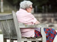 Senior woman sitting on a bench in a public garden