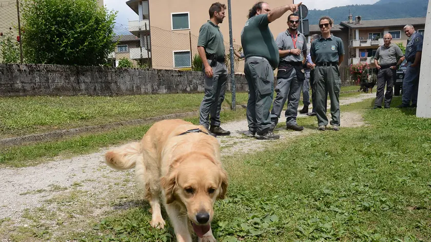 gian paolo perona- perona- belluno- al parco arcobaleno unità cinofile antiveleno