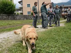 gian paolo perona- perona- belluno- al parco arcobaleno unità cinofile antiveleno