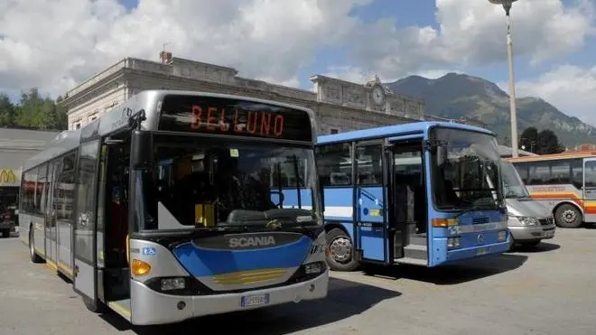 Belluno, 21 agosto 2006, Nel piazzale della stazione di belluno i mezzi della dolomitibus