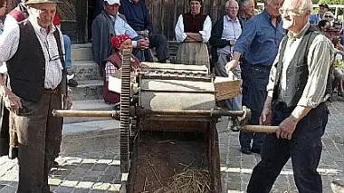 Una fase della fienagione