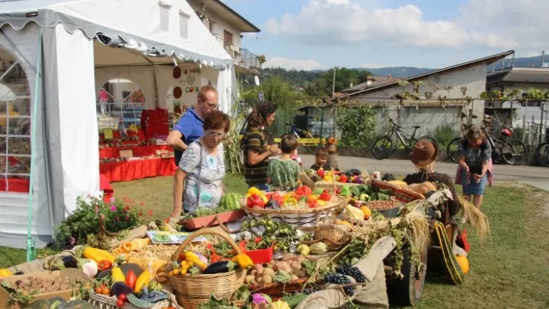 Orti in piazza, nel Castionese (Pro Loco Pieve Castionese)