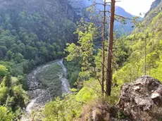 Il torrente Vanoi dove dovrebbe sorgere la diga