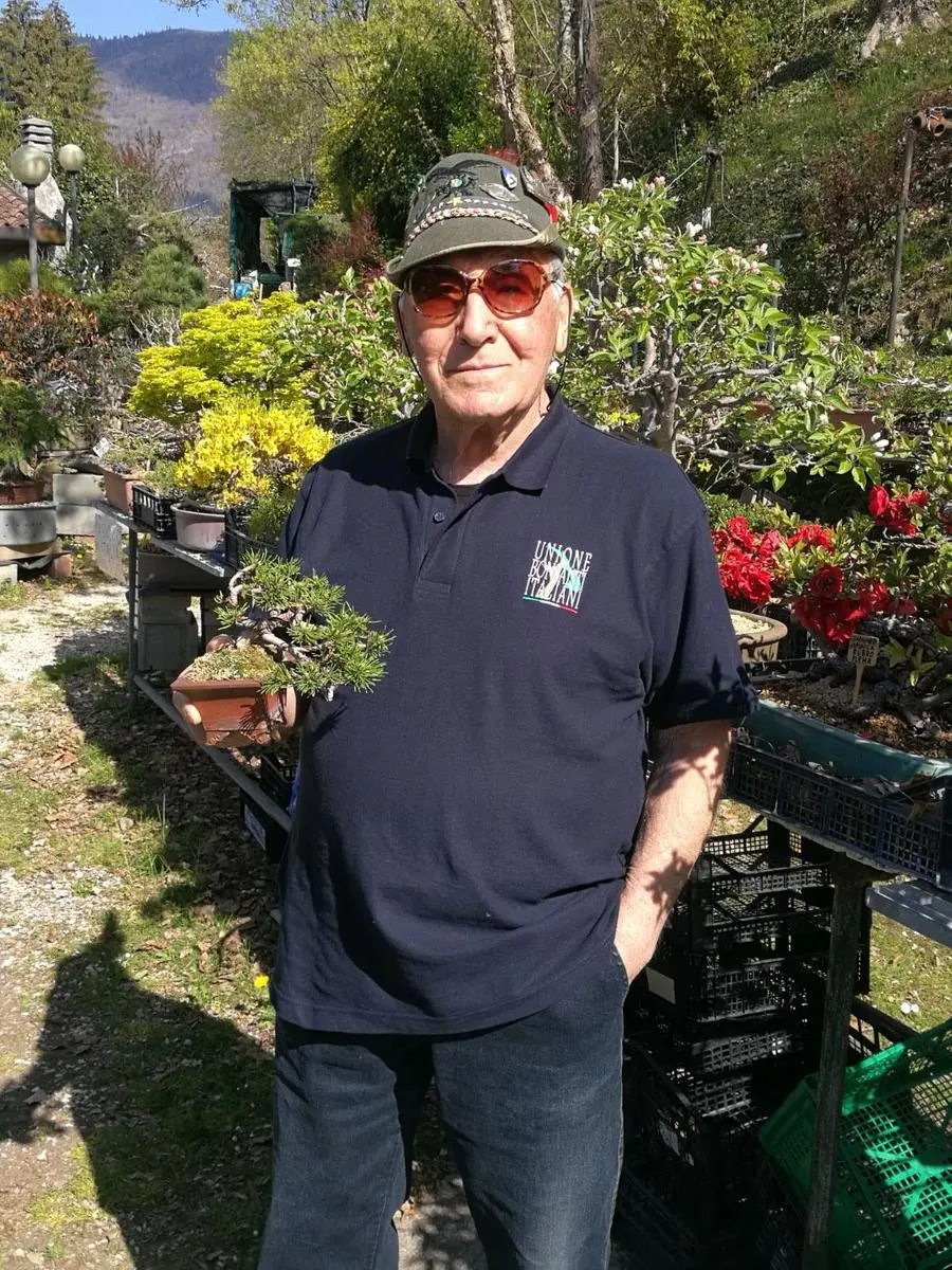 Armando Dal Col con un bonsai