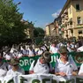 Gli alpini della sezione di Belluno durante la lunghissima sfilata tra le strade di Asti