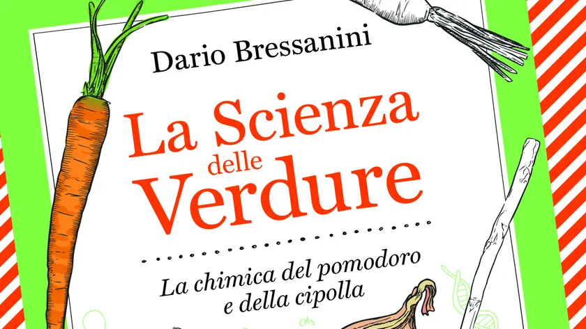 La copertina del libro