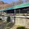 La vasca di liquami nella quale morì annegato Antonio Salina