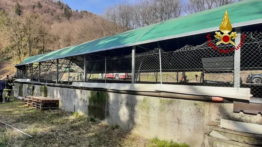 La vasca di liquami nella quale morì annegato Antonio Salina