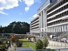 La Sissa di Trieste ha collaborato, per la parte italiana, allo studio