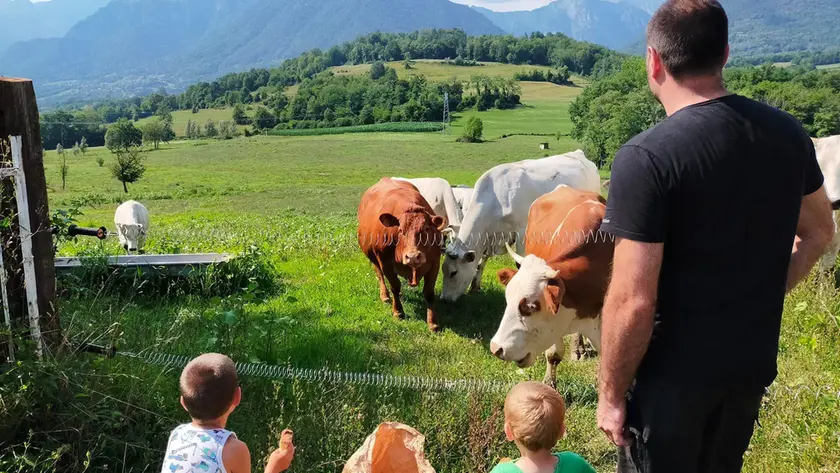 Gli agriturismi piacciono molto agli stranieri