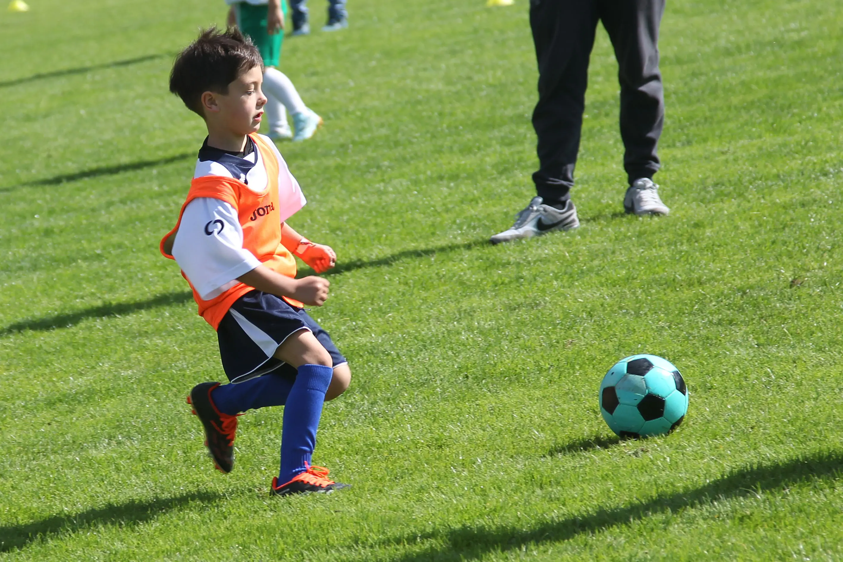 Oltre 400 bambini in campo ieri a Ponte nelle Alpi, in occasione del doppio raduno di fine stagione organizzato dalla Delegazione di Belluno della Figc in collaborazione con il Ponte Alpi allo stadio “Umberto Orzes”. Al mattino spazio ai Piccoli Amici, per il quale erano presenti 26 squadre in rappresentanza di 16 società. Nel dettaglio, schieravano tre formazioni Dolomiti Bellunesi e Comelico, mentre due formazioni a testa erano proposte da Alpago, Borgo Valbelluna, Cavarzano, LG Valbelluna, Pedavena e Plavis. Una compagine ciascuna invece per Cadore, Castion, Fiori Barp, Juventina Mugnai, Limana, Longarone Alpina, Ponte Alpi e Sois. Nel pomeriggio ecco protagonisti i Primi Calci, con un totale di 40 squadre in rappresentanza di 21 società. In particolare, tre le formazioni mandate in campo da Dolomiti Bellunesi, LG Valbelluna e Plavis, due ciascuno da Agordina, Alpago, Borgo Valbelluna, Cadore, Castion, Cavarzano, Comelico, Fiori Barp, Juventina Mugnai, Limana, Longarone Alpina, Pedavena e Ponte Alpi, una a testa per Arsiè, Cortina, Domegge, Sois e Valboite.