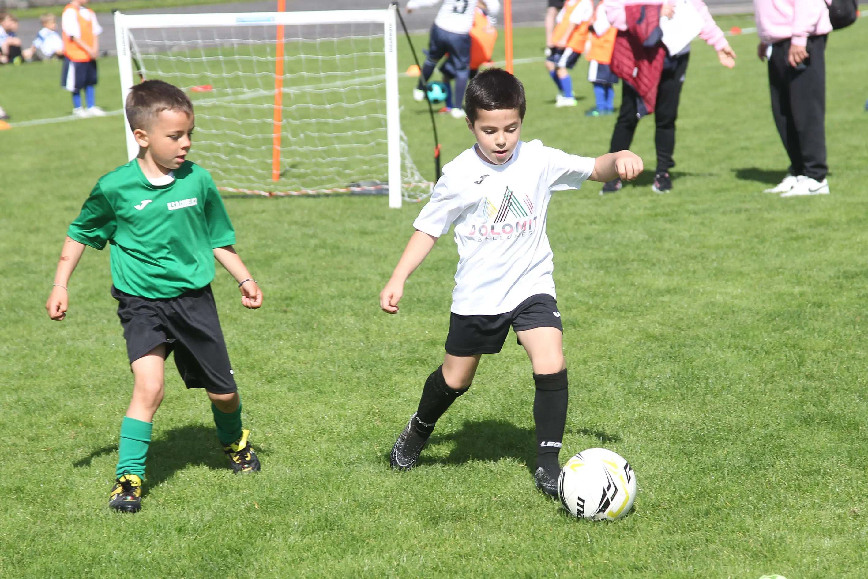 Oltre 400 bambini in campo ieri a Ponte nelle Alpi, in occasione del doppio raduno di fine stagione organizzato dalla Delegazione di Belluno della Figc in collaborazione con il Ponte Alpi allo stadio “Umberto Orzes”. Al mattino spazio ai Piccoli Amici, per il quale erano presenti 26 squadre in rappresentanza di 16 società. Nel dettaglio, schieravano tre formazioni Dolomiti Bellunesi e Comelico, mentre due formazioni a testa erano proposte da Alpago, Borgo Valbelluna, Cavarzano, LG Valbelluna, Pedavena e Plavis. Una compagine ciascuna invece per Cadore, Castion, Fiori Barp, Juventina Mugnai, Limana, Longarone Alpina, Ponte Alpi e Sois. Nel pomeriggio ecco protagonisti i Primi Calci, con un totale di 40 squadre in rappresentanza di 21 società. In particolare, tre le formazioni mandate in campo da Dolomiti Bellunesi, LG Valbelluna e Plavis, due ciascuno da Agordina, Alpago, Borgo Valbelluna, Cadore, Castion, Cavarzano, Comelico, Fiori Barp, Juventina Mugnai, Limana, Longarone Alpina, Pedavena e Ponte Alpi, una a testa per Arsiè, Cortina, Domegge, Sois e Valboite.