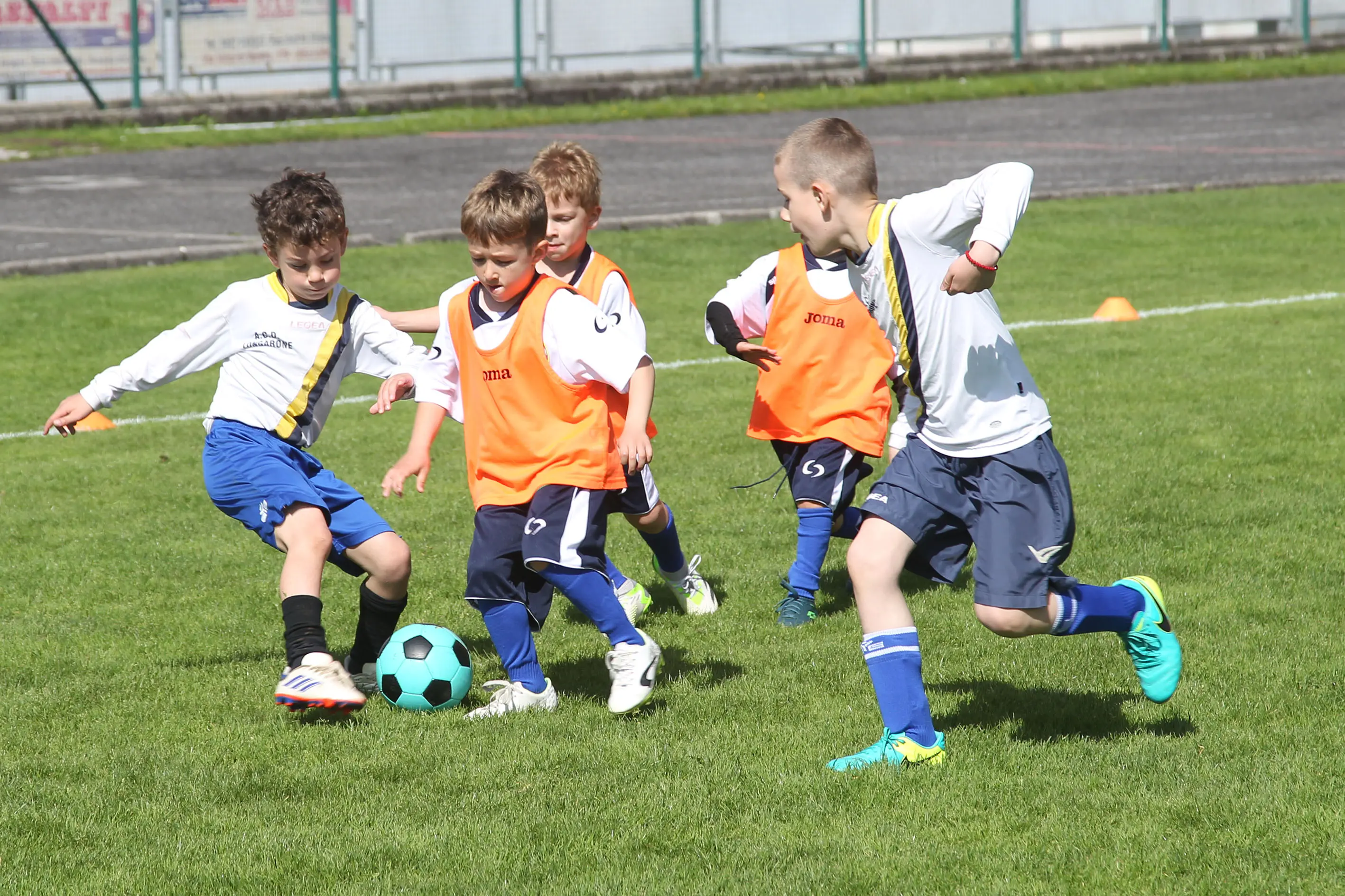 Oltre 400 bambini in campo ieri a Ponte nelle Alpi, in occasione del doppio raduno di fine stagione organizzato dalla Delegazione di Belluno della Figc in collaborazione con il Ponte Alpi allo stadio “Umberto Orzes”. Al mattino spazio ai Piccoli Amici, per il quale erano presenti 26 squadre in rappresentanza di 16 società. Nel dettaglio, schieravano tre formazioni Dolomiti Bellunesi e Comelico, mentre due formazioni a testa erano proposte da Alpago, Borgo Valbelluna, Cavarzano, LG Valbelluna, Pedavena e Plavis. Una compagine ciascuna invece per Cadore, Castion, Fiori Barp, Juventina Mugnai, Limana, Longarone Alpina, Ponte Alpi e Sois. Nel pomeriggio ecco protagonisti i Primi Calci, con un totale di 40 squadre in rappresentanza di 21 società. In particolare, tre le formazioni mandate in campo da Dolomiti Bellunesi, LG Valbelluna e Plavis, due ciascuno da Agordina, Alpago, Borgo Valbelluna, Cadore, Castion, Cavarzano, Comelico, Fiori Barp, Juventina Mugnai, Limana, Longarone Alpina, Pedavena e Ponte Alpi, una a testa per Arsiè, Cortina, Domegge, Sois e Valboite.