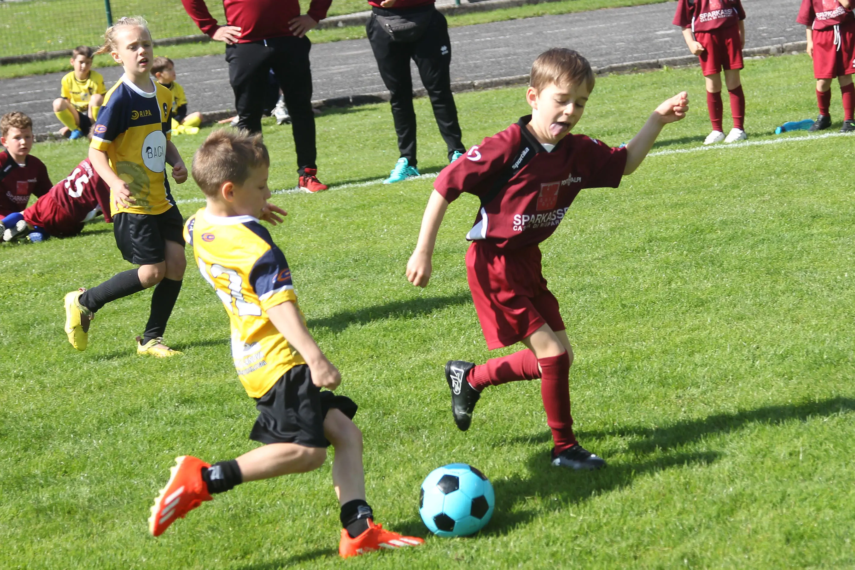 Oltre 400 bambini in campo ieri a Ponte nelle Alpi, in occasione del doppio raduno di fine stagione organizzato dalla Delegazione di Belluno della Figc in collaborazione con il Ponte Alpi allo stadio “Umberto Orzes”. Al mattino spazio ai Piccoli Amici, per il quale erano presenti 26 squadre in rappresentanza di 16 società. Nel dettaglio, schieravano tre formazioni Dolomiti Bellunesi e Comelico, mentre due formazioni a testa erano proposte da Alpago, Borgo Valbelluna, Cavarzano, LG Valbelluna, Pedavena e Plavis. Una compagine ciascuna invece per Cadore, Castion, Fiori Barp, Juventina Mugnai, Limana, Longarone Alpina, Ponte Alpi e Sois. Nel pomeriggio ecco protagonisti i Primi Calci, con un totale di 40 squadre in rappresentanza di 21 società. In particolare, tre le formazioni mandate in campo da Dolomiti Bellunesi, LG Valbelluna e Plavis, due ciascuno da Agordina, Alpago, Borgo Valbelluna, Cadore, Castion, Cavarzano, Comelico, Fiori Barp, Juventina Mugnai, Limana, Longarone Alpina, Pedavena e Ponte Alpi, una a testa per Arsiè, Cortina, Domegge, Sois e Valboite.
