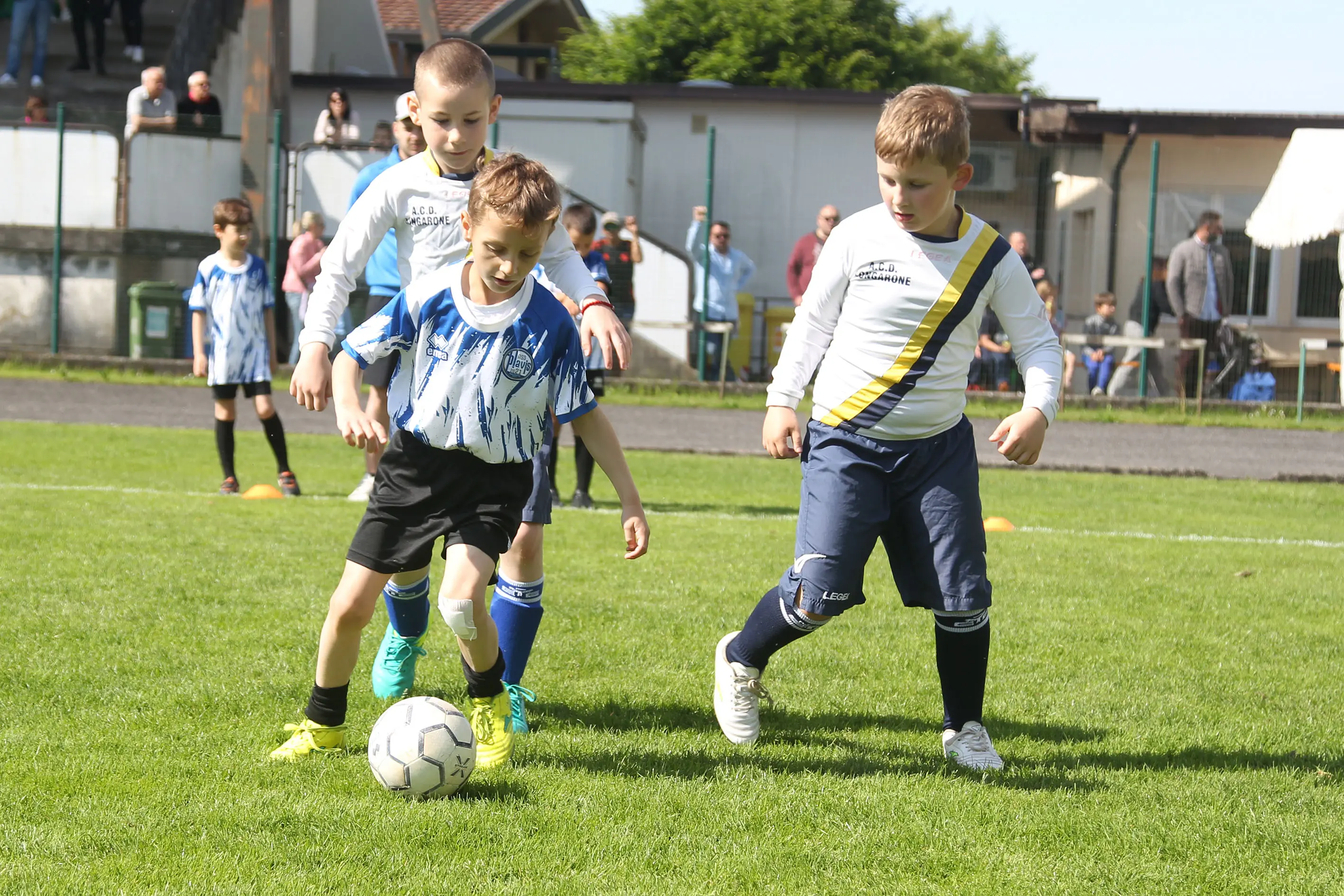 Oltre 400 bambini in campo ieri a Ponte nelle Alpi, in occasione del doppio raduno di fine stagione organizzato dalla Delegazione di Belluno della Figc in collaborazione con il Ponte Alpi allo stadio “Umberto Orzes”. Al mattino spazio ai Piccoli Amici, per il quale erano presenti 26 squadre in rappresentanza di 16 società. Nel dettaglio, schieravano tre formazioni Dolomiti Bellunesi e Comelico, mentre due formazioni a testa erano proposte da Alpago, Borgo Valbelluna, Cavarzano, LG Valbelluna, Pedavena e Plavis. Una compagine ciascuna invece per Cadore, Castion, Fiori Barp, Juventina Mugnai, Limana, Longarone Alpina, Ponte Alpi e Sois. Nel pomeriggio ecco protagonisti i Primi Calci, con un totale di 40 squadre in rappresentanza di 21 società. In particolare, tre le formazioni mandate in campo da Dolomiti Bellunesi, LG Valbelluna e Plavis, due ciascuno da Agordina, Alpago, Borgo Valbelluna, Cadore, Castion, Cavarzano, Comelico, Fiori Barp, Juventina Mugnai, Limana, Longarone Alpina, Pedavena e Ponte Alpi, una a testa per Arsiè, Cortina, Domegge, Sois e Valboite.