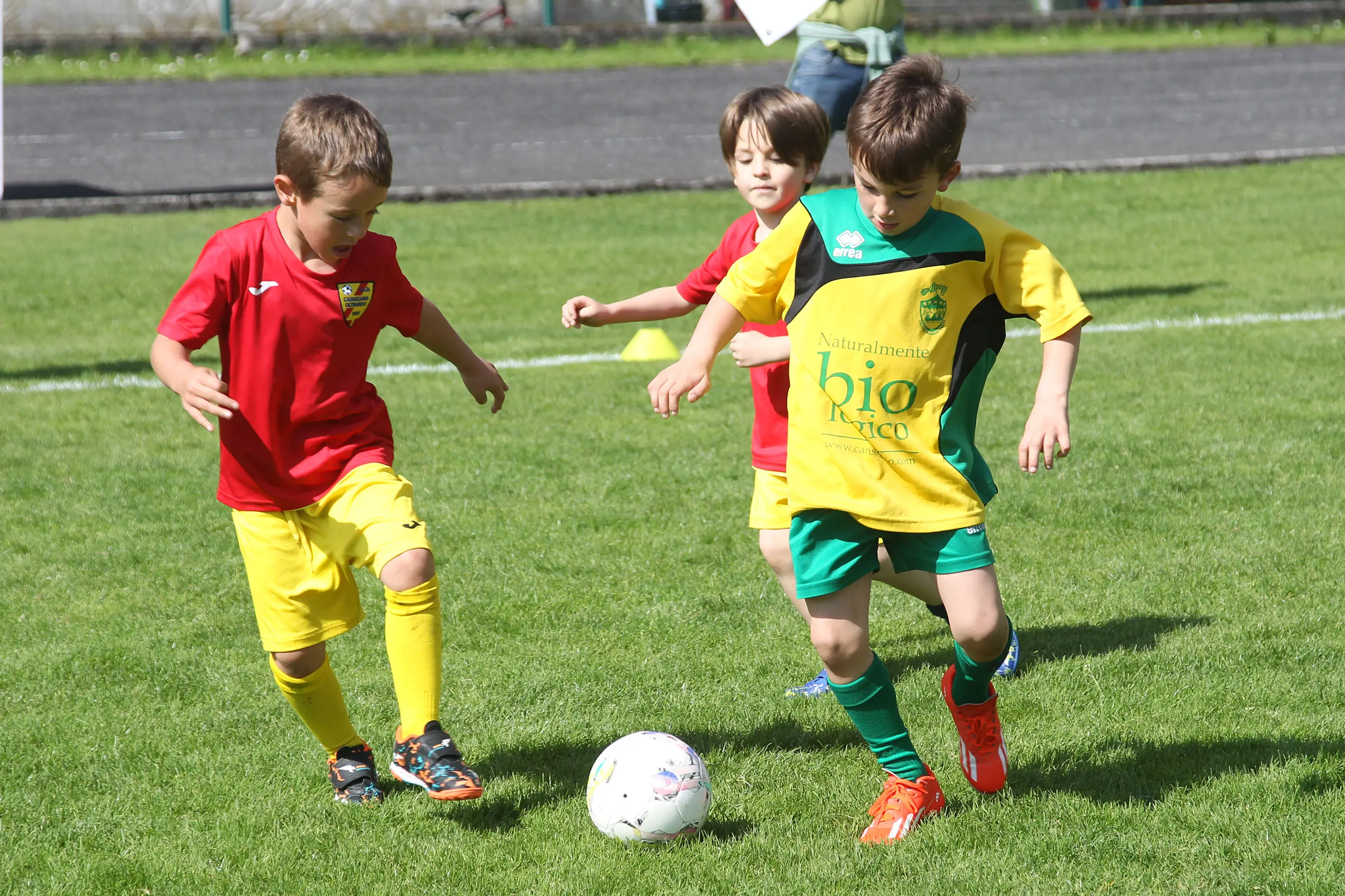 Oltre 400 bambini in campo ieri a Ponte nelle Alpi, in occasione del doppio raduno di fine stagione organizzato dalla Delegazione di Belluno della Figc in collaborazione con il Ponte Alpi allo stadio “Umberto Orzes”. Al mattino spazio ai Piccoli Amici, per il quale erano presenti 26 squadre in rappresentanza di 16 società. Nel dettaglio, schieravano tre formazioni Dolomiti Bellunesi e Comelico, mentre due formazioni a testa erano proposte da Alpago, Borgo Valbelluna, Cavarzano, LG Valbelluna, Pedavena e Plavis. Una compagine ciascuna invece per Cadore, Castion, Fiori Barp, Juventina Mugnai, Limana, Longarone Alpina, Ponte Alpi e Sois. Nel pomeriggio ecco protagonisti i Primi Calci, con un totale di 40 squadre in rappresentanza di 21 società. In particolare, tre le formazioni mandate in campo da Dolomiti Bellunesi, LG Valbelluna e Plavis, due ciascuno da Agordina, Alpago, Borgo Valbelluna, Cadore, Castion, Cavarzano, Comelico, Fiori Barp, Juventina Mugnai, Limana, Longarone Alpina, Pedavena e Ponte Alpi, una a testa per Arsiè, Cortina, Domegge, Sois e Valboite.