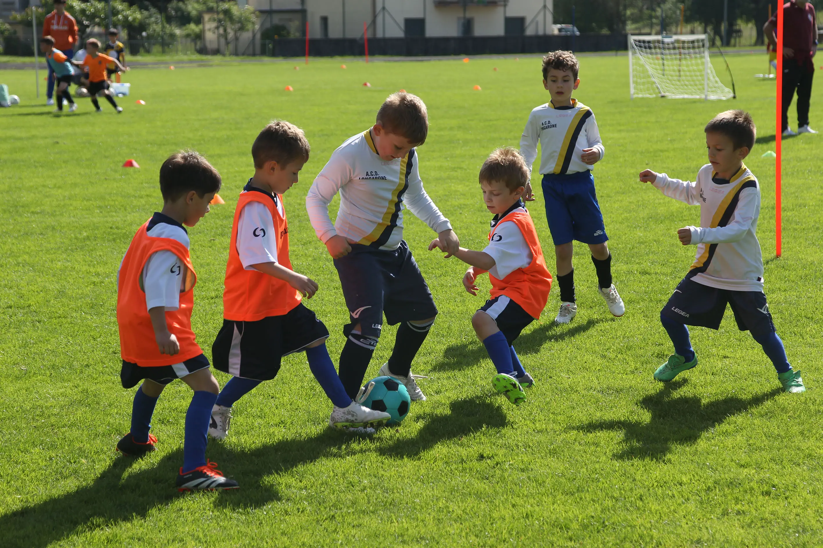 Oltre 400 bambini in campo ieri a Ponte nelle Alpi, in occasione del doppio raduno di fine stagione organizzato dalla Delegazione di Belluno della Figc in collaborazione con il Ponte Alpi allo stadio “Umberto Orzes”. Al mattino spazio ai Piccoli Amici, per il quale erano presenti 26 squadre in rappresentanza di 16 società. Nel dettaglio, schieravano tre formazioni Dolomiti Bellunesi e Comelico, mentre due formazioni a testa erano proposte da Alpago, Borgo Valbelluna, Cavarzano, LG Valbelluna, Pedavena e Plavis. Una compagine ciascuna invece per Cadore, Castion, Fiori Barp, Juventina Mugnai, Limana, Longarone Alpina, Ponte Alpi e Sois. Nel pomeriggio ecco protagonisti i Primi Calci, con un totale di 40 squadre in rappresentanza di 21 società. In particolare, tre le formazioni mandate in campo da Dolomiti Bellunesi, LG Valbelluna e Plavis, due ciascuno da Agordina, Alpago, Borgo Valbelluna, Cadore, Castion, Cavarzano, Comelico, Fiori Barp, Juventina Mugnai, Limana, Longarone Alpina, Pedavena e Ponte Alpi, una a testa per Arsiè, Cortina, Domegge, Sois e Valboite.
