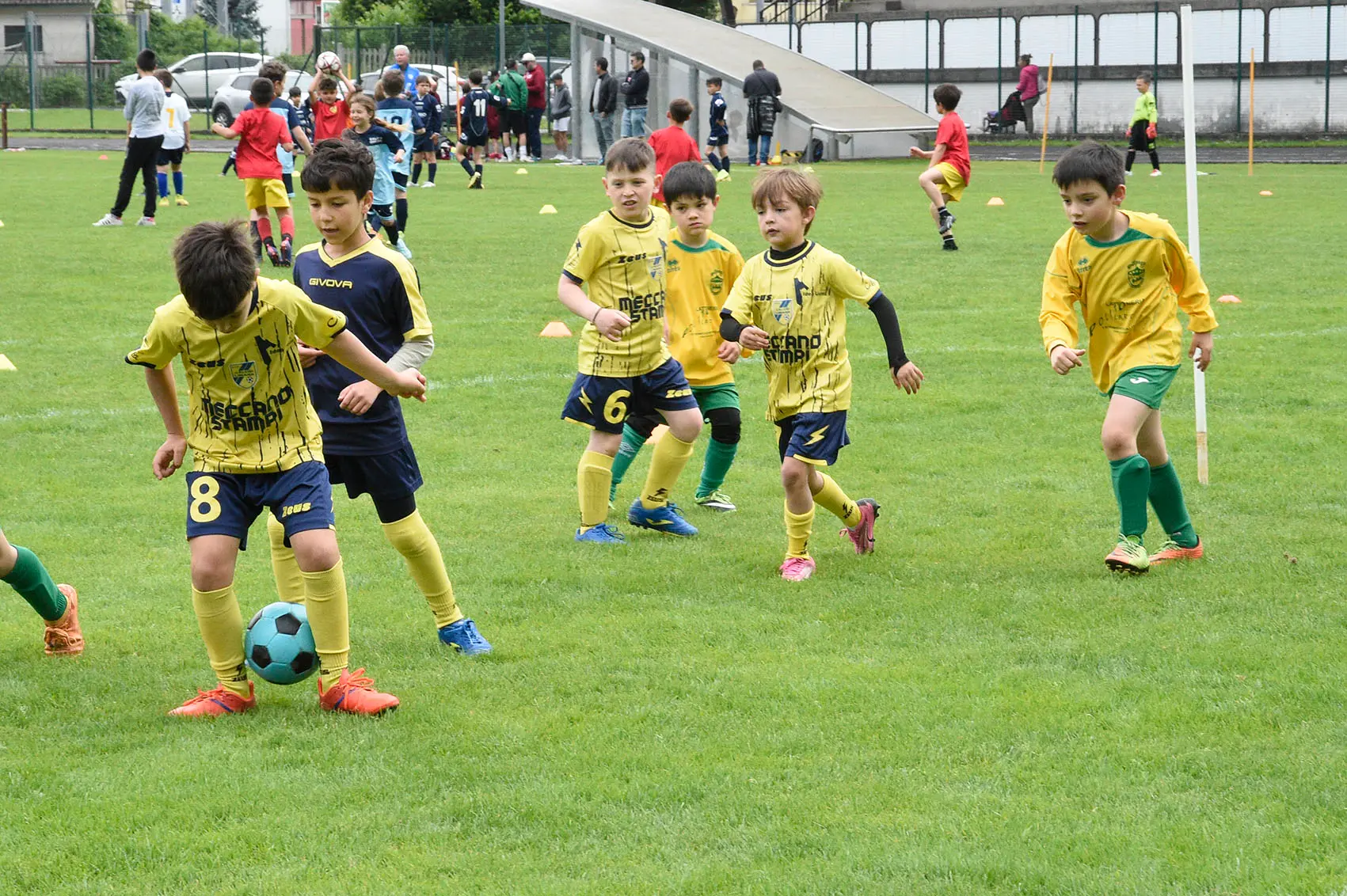 Oltre 400 bambini in campo ieri a Ponte nelle Alpi, in occasione del doppio raduno di fine stagione organizzato dalla Delegazione di Belluno della Figc in collaborazione con il Ponte Alpi allo stadio “Umberto Orzes”. Al mattino spazio ai Piccoli Amici, per il quale erano presenti 26 squadre in rappresentanza di 16 società. Nel dettaglio, schieravano tre formazioni Dolomiti Bellunesi e Comelico, mentre due formazioni a testa erano proposte da Alpago, Borgo Valbelluna, Cavarzano, LG Valbelluna, Pedavena e Plavis. Una compagine ciascuna invece per Cadore, Castion, Fiori Barp, Juventina Mugnai, Limana, Longarone Alpina, Ponte Alpi e Sois. Nel pomeriggio ecco protagonisti i Primi Calci, con un totale di 40 squadre in rappresentanza di 21 società. In particolare, tre le formazioni mandate in campo da Dolomiti Bellunesi, LG Valbelluna e Plavis, due ciascuno da Agordina, Alpago, Borgo Valbelluna, Cadore, Castion, Cavarzano, Comelico, Fiori Barp, Juventina Mugnai, Limana, Longarone Alpina, Pedavena e Ponte Alpi, una a testa per Arsiè, Cortina, Domegge, Sois e Valboite.