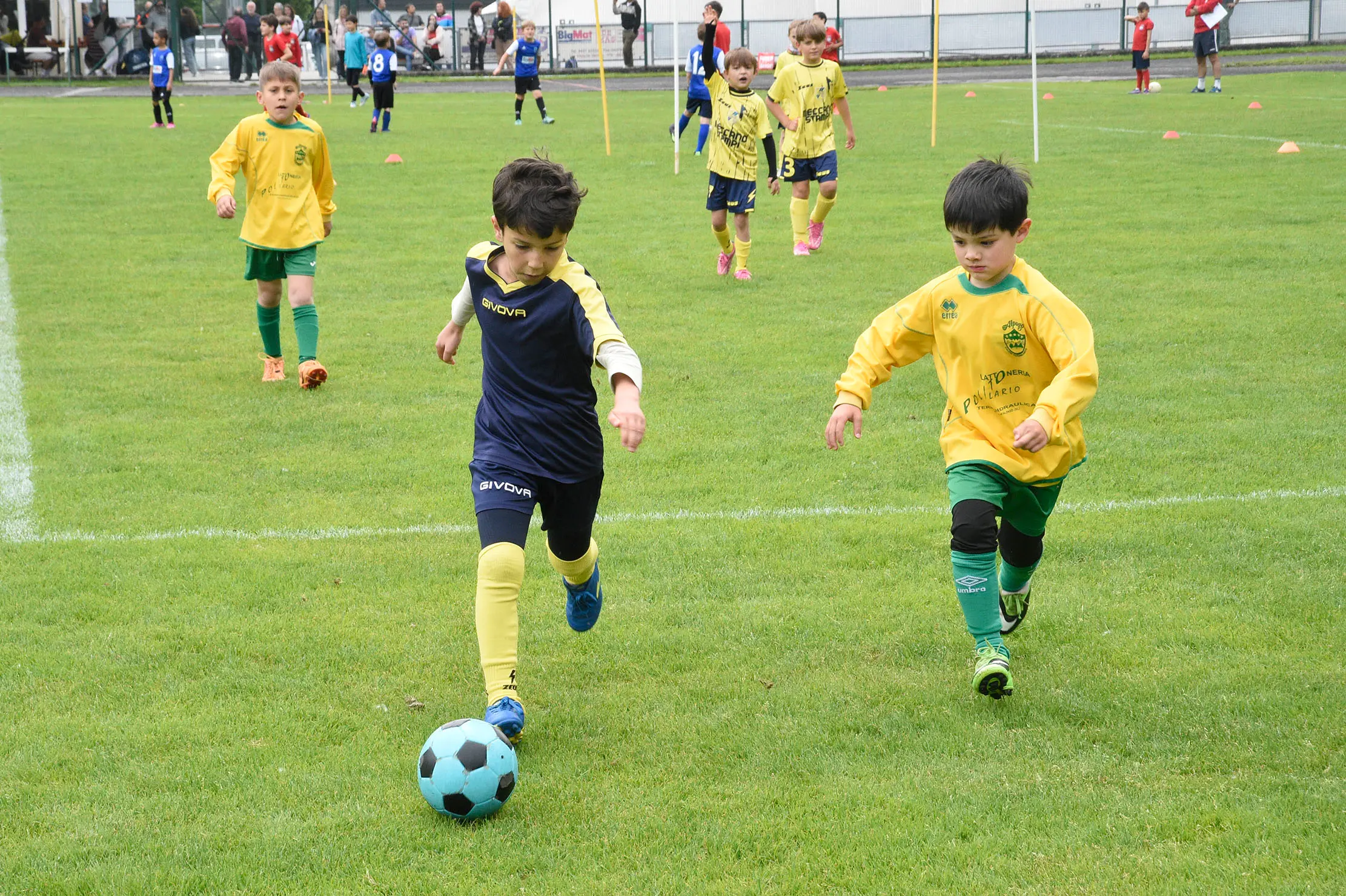 Oltre 400 bambini in campo ieri a Ponte nelle Alpi, in occasione del doppio raduno di fine stagione organizzato dalla Delegazione di Belluno della Figc in collaborazione con il Ponte Alpi allo stadio “Umberto Orzes”. Al mattino spazio ai Piccoli Amici, per il quale erano presenti 26 squadre in rappresentanza di 16 società. Nel dettaglio, schieravano tre formazioni Dolomiti Bellunesi e Comelico, mentre due formazioni a testa erano proposte da Alpago, Borgo Valbelluna, Cavarzano, LG Valbelluna, Pedavena e Plavis. Una compagine ciascuna invece per Cadore, Castion, Fiori Barp, Juventina Mugnai, Limana, Longarone Alpina, Ponte Alpi e Sois. Nel pomeriggio ecco protagonisti i Primi Calci, con un totale di 40 squadre in rappresentanza di 21 società. In particolare, tre le formazioni mandate in campo da Dolomiti Bellunesi, LG Valbelluna e Plavis, due ciascuno da Agordina, Alpago, Borgo Valbelluna, Cadore, Castion, Cavarzano, Comelico, Fiori Barp, Juventina Mugnai, Limana, Longarone Alpina, Pedavena e Ponte Alpi, una a testa per Arsiè, Cortina, Domegge, Sois e Valboite.