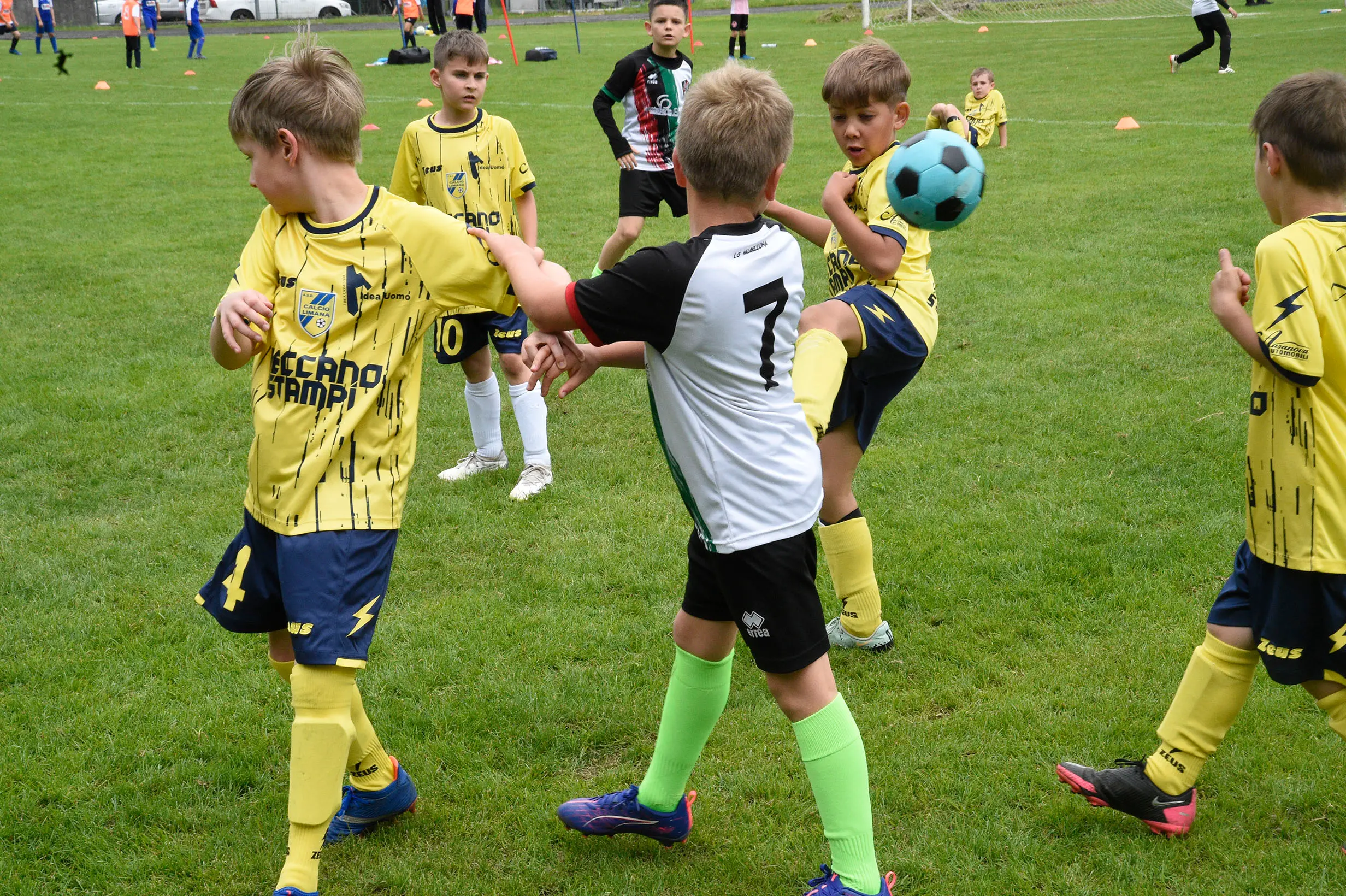 Oltre 400 bambini in campo ieri a Ponte nelle Alpi, in occasione del doppio raduno di fine stagione organizzato dalla Delegazione di Belluno della Figc in collaborazione con il Ponte Alpi allo stadio “Umberto Orzes”. Al mattino spazio ai Piccoli Amici, per il quale erano presenti 26 squadre in rappresentanza di 16 società. Nel dettaglio, schieravano tre formazioni Dolomiti Bellunesi e Comelico, mentre due formazioni a testa erano proposte da Alpago, Borgo Valbelluna, Cavarzano, LG Valbelluna, Pedavena e Plavis. Una compagine ciascuna invece per Cadore, Castion, Fiori Barp, Juventina Mugnai, Limana, Longarone Alpina, Ponte Alpi e Sois. Nel pomeriggio ecco protagonisti i Primi Calci, con un totale di 40 squadre in rappresentanza di 21 società. In particolare, tre le formazioni mandate in campo da Dolomiti Bellunesi, LG Valbelluna e Plavis, due ciascuno da Agordina, Alpago, Borgo Valbelluna, Cadore, Castion, Cavarzano, Comelico, Fiori Barp, Juventina Mugnai, Limana, Longarone Alpina, Pedavena e Ponte Alpi, una a testa per Arsiè, Cortina, Domegge, Sois e Valboite.