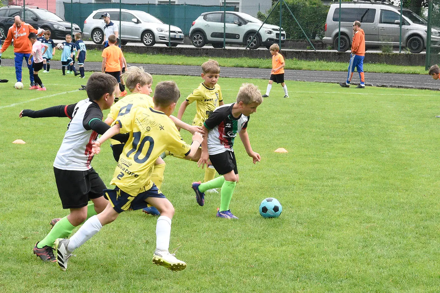 Oltre 400 bambini in campo ieri a Ponte nelle Alpi, in occasione del doppio raduno di fine stagione organizzato dalla Delegazione di Belluno della Figc in collaborazione con il Ponte Alpi allo stadio “Umberto Orzes”. Al mattino spazio ai Piccoli Amici, per il quale erano presenti 26 squadre in rappresentanza di 16 società. Nel dettaglio, schieravano tre formazioni Dolomiti Bellunesi e Comelico, mentre due formazioni a testa erano proposte da Alpago, Borgo Valbelluna, Cavarzano, LG Valbelluna, Pedavena e Plavis. Una compagine ciascuna invece per Cadore, Castion, Fiori Barp, Juventina Mugnai, Limana, Longarone Alpina, Ponte Alpi e Sois. Nel pomeriggio ecco protagonisti i Primi Calci, con un totale di 40 squadre in rappresentanza di 21 società. In particolare, tre le formazioni mandate in campo da Dolomiti Bellunesi, LG Valbelluna e Plavis, due ciascuno da Agordina, Alpago, Borgo Valbelluna, Cadore, Castion, Cavarzano, Comelico, Fiori Barp, Juventina Mugnai, Limana, Longarone Alpina, Pedavena e Ponte Alpi, una a testa per Arsiè, Cortina, Domegge, Sois e Valboite.