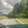 Un albero a terra sulla strada nella zona industriale di Villapaiera a Feltre