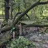 Uno dei tevoli da pic-nic danneggiato da uno degli alberi caduti