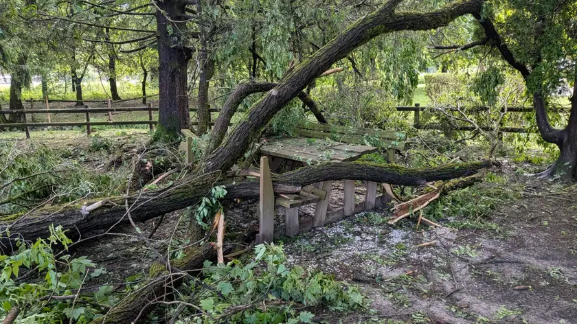 Uno dei tevoli da pic-nic danneggiato da uno degli alberi caduti