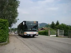 Feltre: Un pullman della Dolomitibus