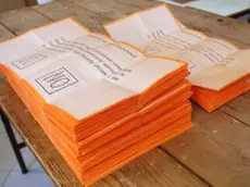 Spoglio dei voti al referendum