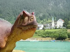 Una delle installazioni sulle rive del lago di Santa Caterina ad Auronzo