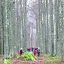 Escursionisti in autunno tra i faggeti del bosco del Cansiglio