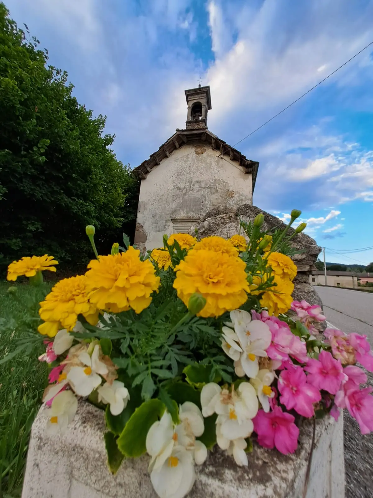Fiori a Borgo Valbelluna
