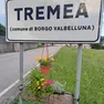 Un portafiori con piante fiorite all'ingresso di Tremea di Borgo Valbelluna