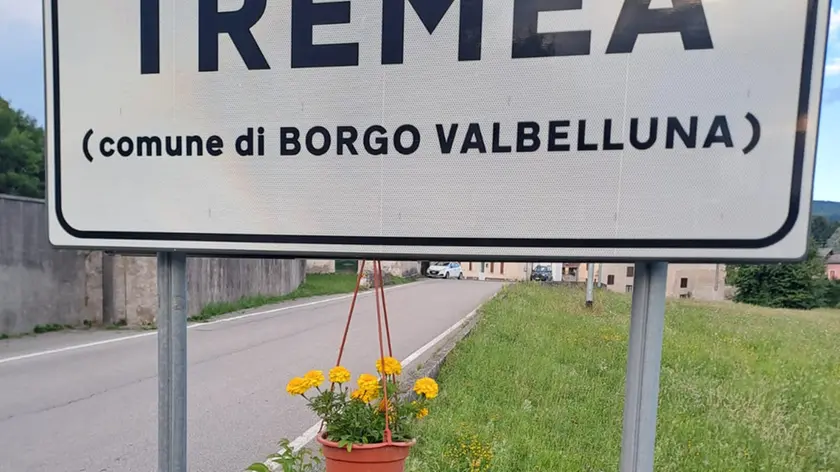 Un portafiori con piante fiorite all'ingresso di Tremea di Borgo Valbelluna