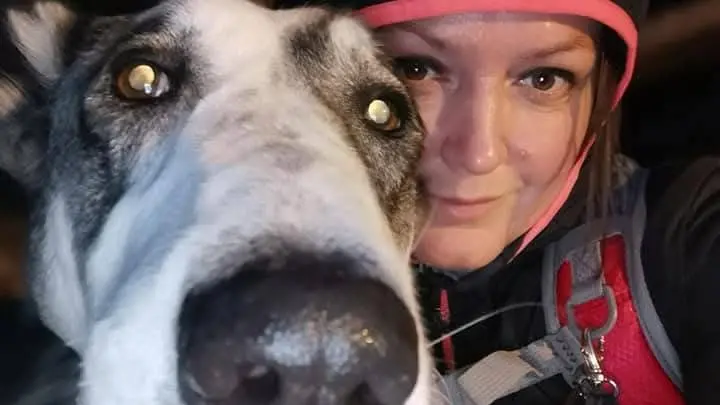 Asia, il cane eroe ucciso con una polpetta avvelenata: “Mi ha salvato la vita due volte”