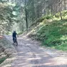 I mezzi di Dolomitibus non possono transitare sulla strada silvo pastorale