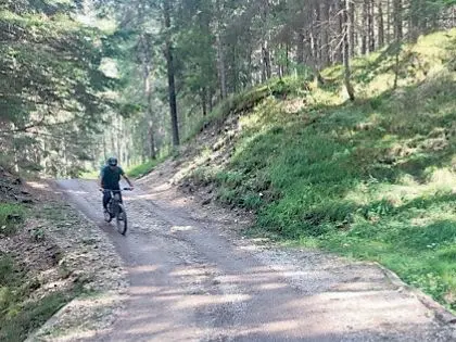 I mezzi di Dolomitibus non possono transitare sulla strada silvo pastorale